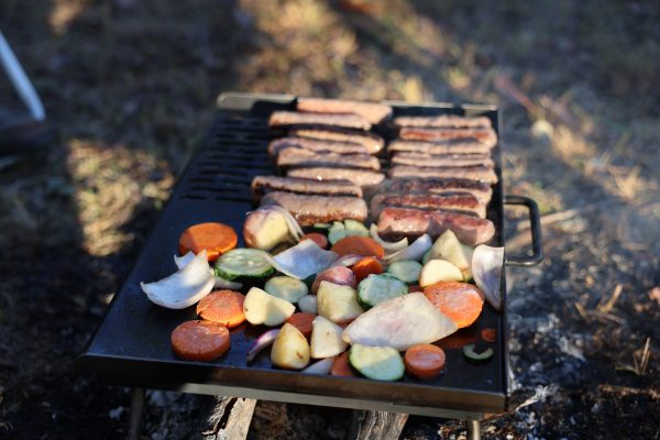 Collapsible BBQ Plate - BBQ Plate